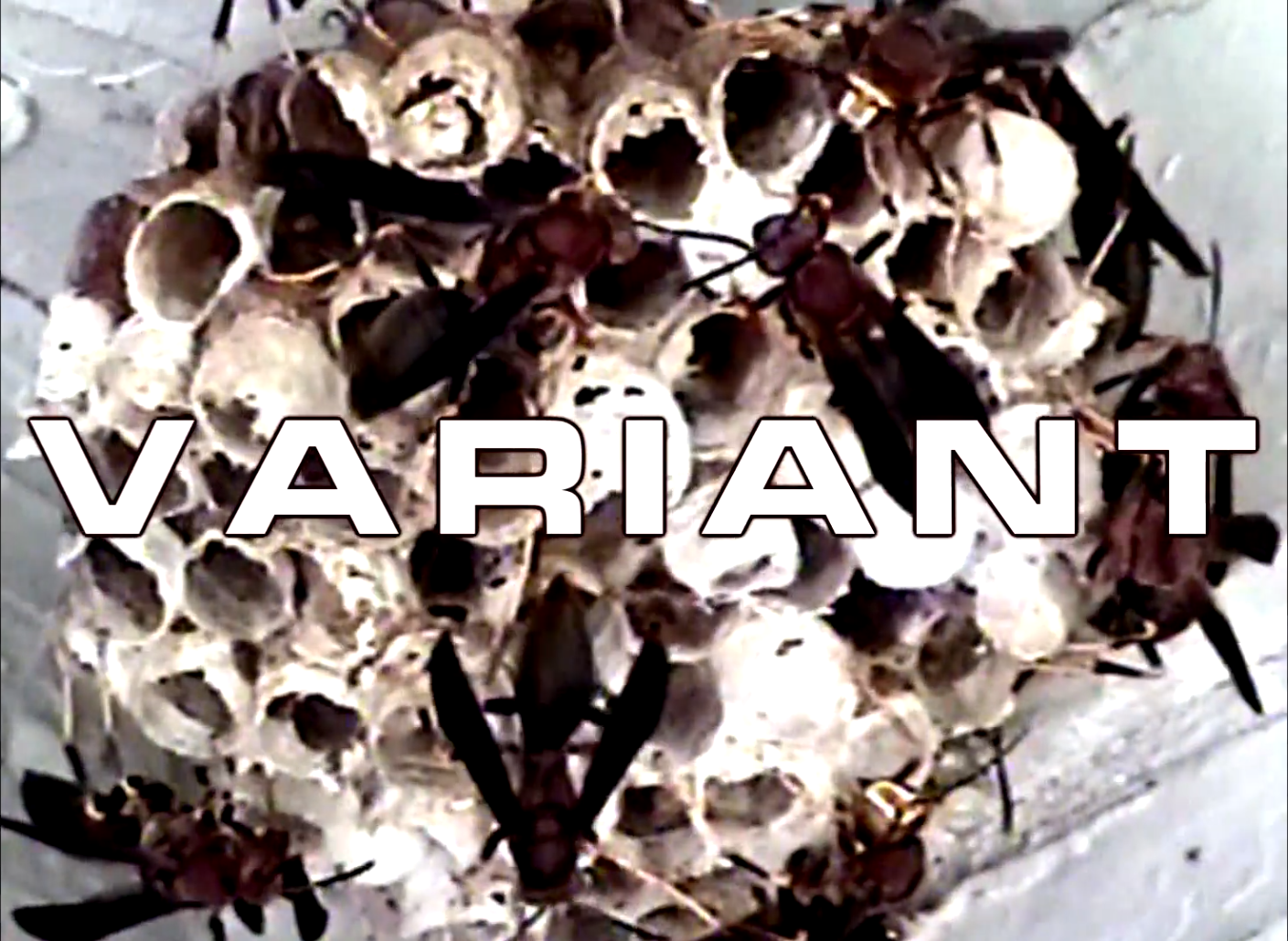 Variant